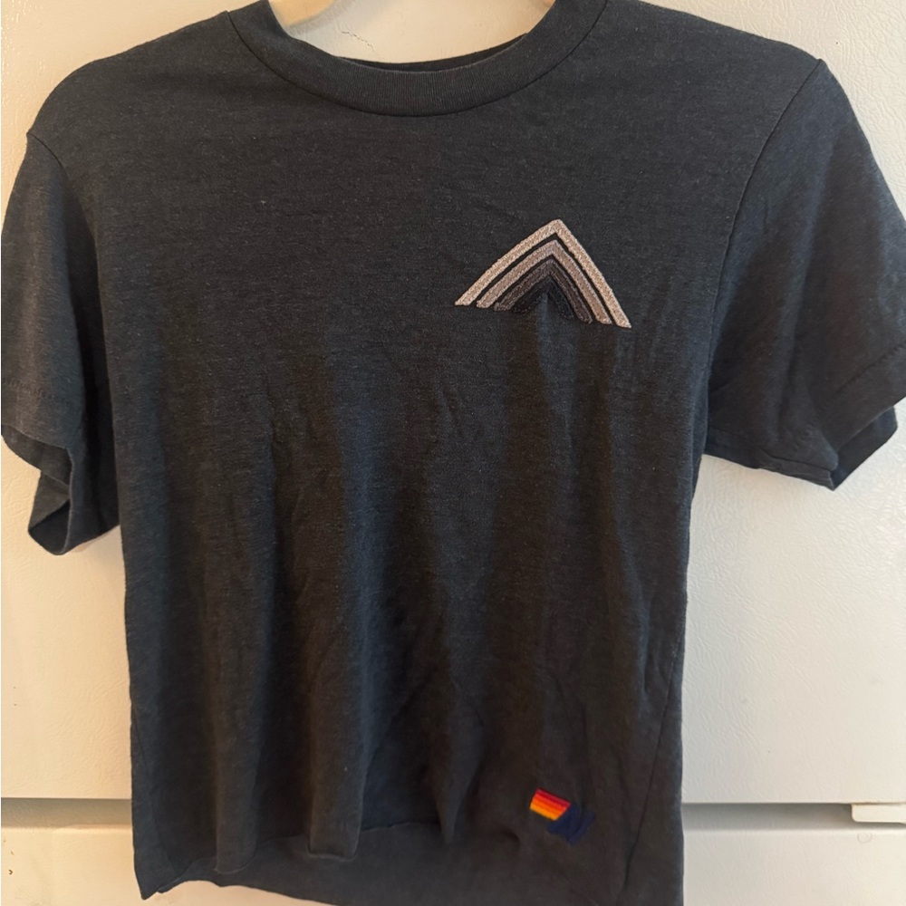 Aviator Nation mountain stitch boyfriend tee